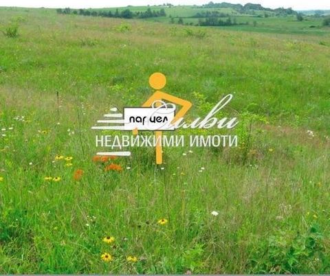 EXCLUSIVE from Estate Sylvie!! Plot of land in regulation with an area of 1440 sq.m. - village of Lozevo. The property is FLAT with a large FACE OF TWO STREETS (a total of 60m). It is suitable for the construction of a two-family house or other type ...