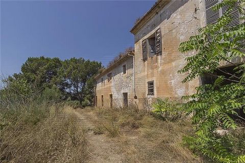 Rustic property to be renovated of 372,000m2 and 1,000m2 built in several annexes. Features: - Terrace - Garden