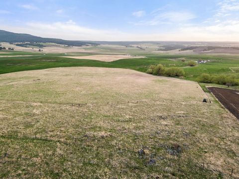 This wonderful 79-acre ranch land located just outside of Cottonwood offers a tranquil retreat from the hustle and bustle of city life and presents a rare opportunity for you to own your own slice of paradise in Idaho county. The property features ro...