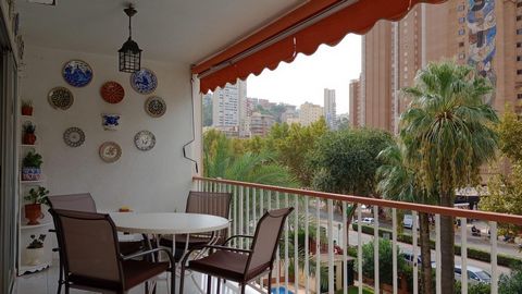 Cozy spacious apartment with a 15 m2 terrace in the Mediterranean Avenue area just a step away from Levante Beach Apartment is located in Benidorm Avenida del MediterrÃneo area it has an area of 81 m and it is very close to Levante beach approx 100m ...