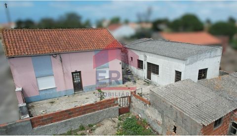 Haus mit 4 Schlafzimmern in Serra D´El Rei - Peniche. Zu renovieren, mit Dachboden, Anbauten und Garage. Eingebettet in ein 1.600 m² großes Grundstück mit zwei städtischen Artikeln, von denen 800 m² bereits freistehend sind, was den Bau eines oder me...