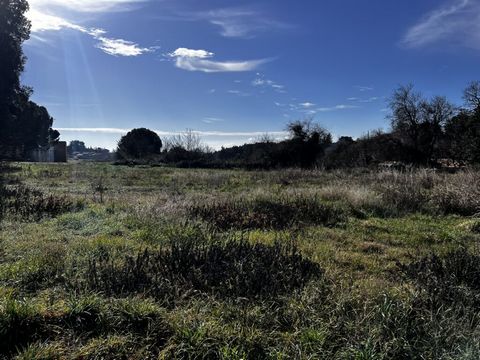 photo no. 2