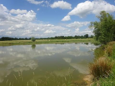 Hart van BRENNE, gelegen in Lureuil, uit het zicht Perceel van 2ha14 bestaande uit een vijver van 1ha met een gevoed door de sloten - vijver vol vissen, karpers, voorn, snoek - Gemakkelijke toegang met een schaduwrijk gedeelte Deze woning is ideaal v...