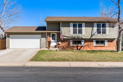 Welcome to your dream home nestled in the city of Lakewood, Colorado, where mountain views and modern living converge seamlessly. This renovated 3-bedroom, 3-bathroom gem offers the perfect blend of comfort, style, and convenience. The main level boa...