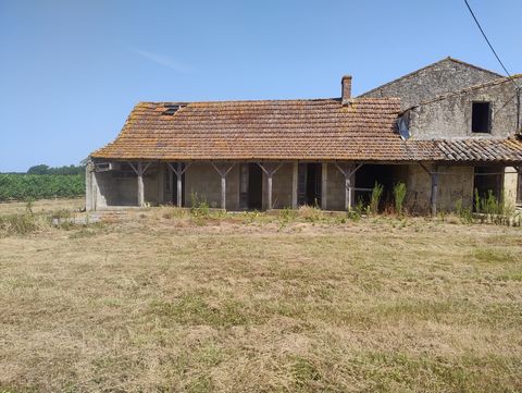 photo no. 9