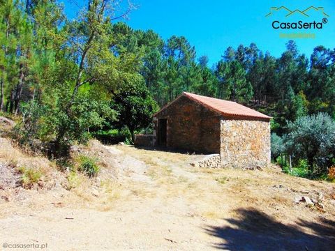 Maison rustique en pierre de schiste à restaurer située dans un très beau village de la municipalité de Sertã. Inséré dans un terrain de grande superficie, avec plusieurs arbres fruitiers et un réservoir, il est également alimenté en eau par son prop...