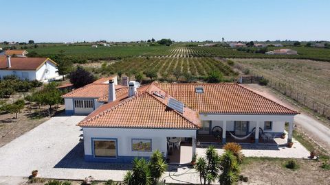 House with 4 bedrooms and 5 bathrooms near Palmela, 45 km from Lisbon. Located in the countryside in the Setúbal wine region, DOC (Controlled Designation of Origin). It has a vineyard, horse stables and a kennel. Total land area - 15,000 m² Building ...