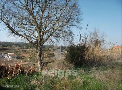 Urban land of 810m2, with feasibility of construction of 246m2 of gross area. Its location allows not only easy access to the A8, but also 10 minutes from the beaches and 3 minutes from the picturesque village of Óbidos. After construction the villa ...