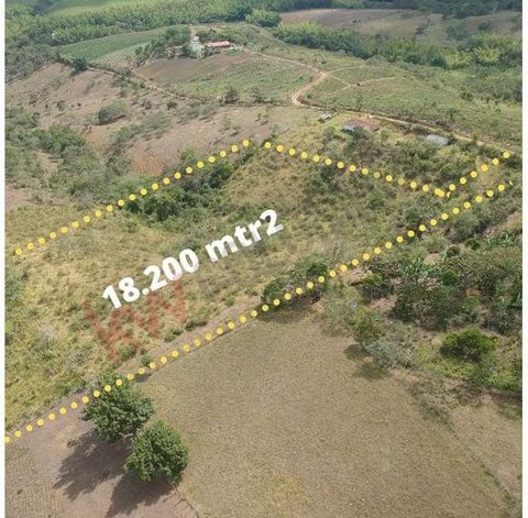 I sell lot of 18,200 m2 of area, in the sector of Pavitas in the CUMBRE, excellent sector of high valorization for its proximity to the project VIA MULALO -LOBOGUERRERO, this project will cover 20 thousand kilometers in modern roads, tunnels and viad...