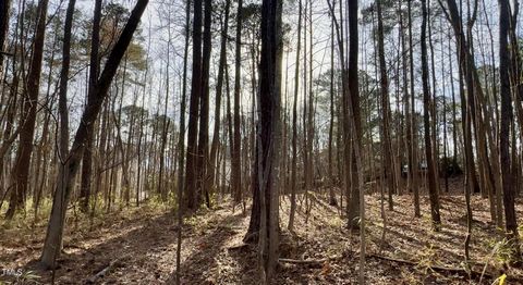 Presenting an extraordinary opportunity to build your dream home on the last remaining undeveloped parcel, within one of the most coveted areas of Southern Wake County in beautiful Old South Trace. This expansive wooded lot offers a blank canvas for ...