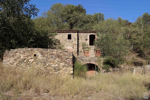 Cet ancien moulin du XIIe siècle, l'un des plus anciens de toute la Catalogne, est parfait pour une rénovation. Il dispose d'une salle voûtée, le toit a été rénové, et il est possible de construire une grande piscine dans le bassin de rétention d'eau...