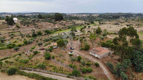 Quinta Chão do Ribeiro is een klein toevluchtsoord in de natuur net aan de rand van het dorp Martianas. Het pand heeft een oppervlakte van 9.000m2. Het beschikt over twee agrarische gebouwen en twee waterputten en een overvloed aan fruit en olijven. ...