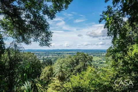 Dit land in Las Lomas, David, Chiriquí, is zeer geschikt voor diegenen die willen investeren in een woning met diverse natuurlijke kenmerken. De kavel, met glooiend terrein, biedt een prachtig uitzicht op de bergen en uitgestrekte groene velden met b...