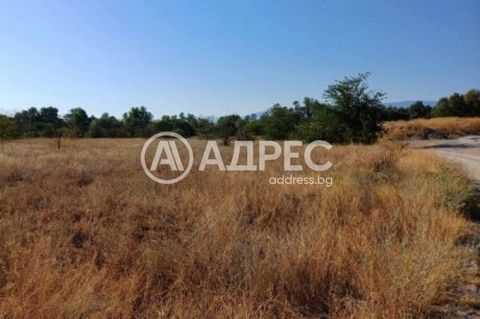 ADDRESS presents a plot of land located in the park 'Recreation and Culture', with an area of 4935 sq.m. Location of the plot - Northern region - park 'Recreation and culture'. Condition of the territory - Urbanized, method of permanent construction ...