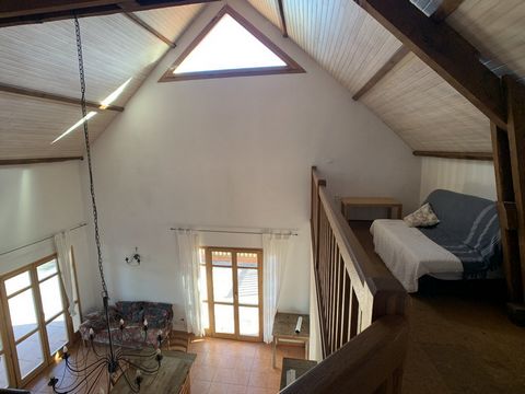 photo no. 8