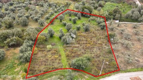 Land for construction with about 2850m2, located on the outskirts of the city of Ourém, in the parish of Olival. Surrounded by a residential area, it has excellent access to tarred road, a great sun exposure. Great investment opportunity! By choosing...