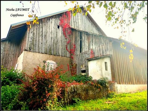 Découvrez cette magnifique ferme de caractère située dans la commune de Peillonnex. Dans un environnement calme, cette propriété offre un cadre de vie exceptionnel. La partie rénovée de 106 m² comprend un espace de vie spacieux avec une cuisine aména...