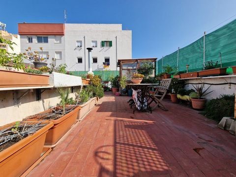 Entdecke dein zukünftiges Zuhause in La Soledad Sur - einem aufstrebenden Viertel von Palma de Mallorca! Dieses Haus bietet eine Wohnfläche von 206 m² und eine Dachterrasse mit einer Fläche von 114 m². Mit vier sehr geräumigen Doppelzimmer und zwei B...