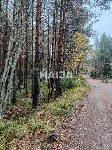 Пожалуйста, свяжитесь с торговым представителем для получения более подробной информации об этом свойстве.