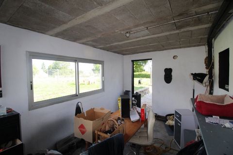 photo no. 6