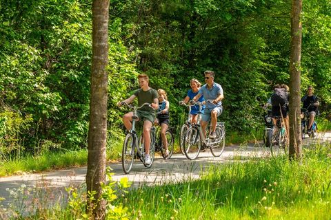 Dit vrijstaande chalet staat op het natuurrijke vakantiepark Resort De Hooge Veluwe. Het ligt pal tegenover het mooie en unieke Nationaal Park Hoge Veluwe en toch op maar 9 km. van het gezellige centrum van de stad Arnhem. Het gelijkvloerse, moderne ...