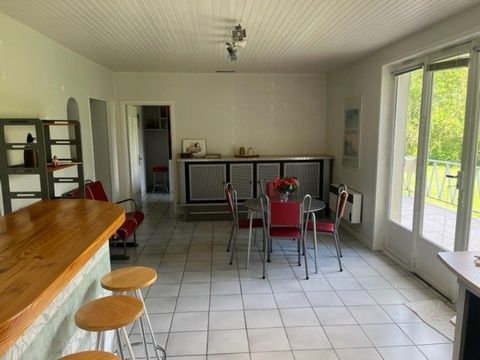 photo no. 12
