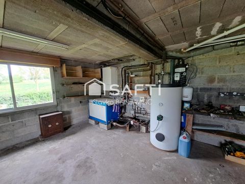 photo no. 13