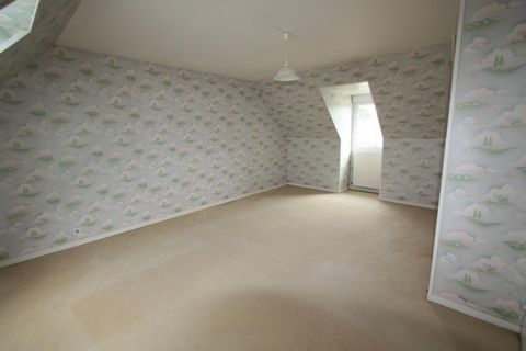 photo no. 7