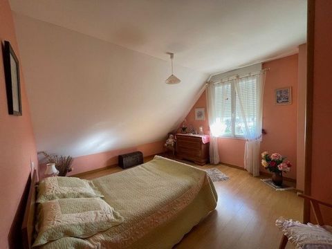 photo no. 11