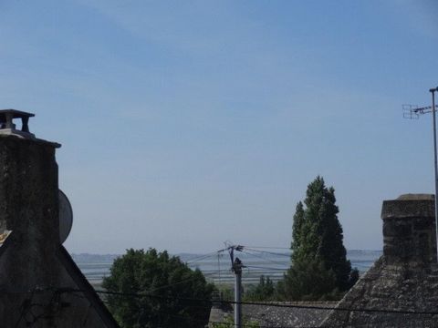 photo no. 11