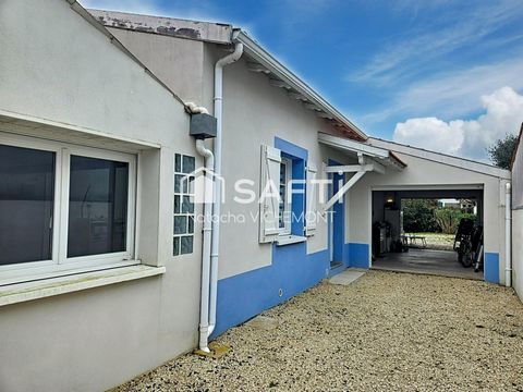 photo no. 13