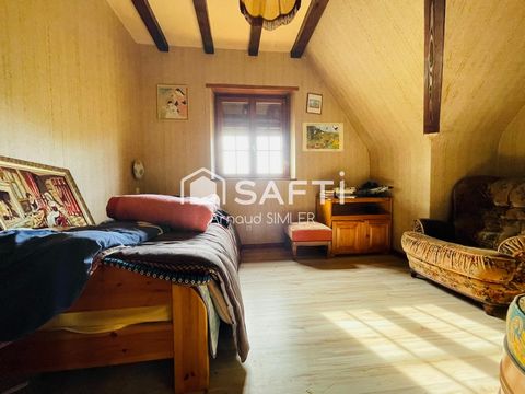 photo no. 15