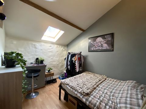 photo no. 18