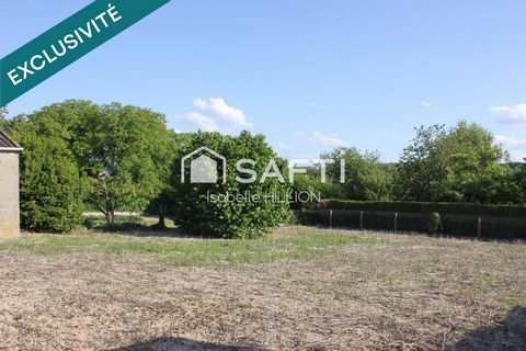 photo no. 10