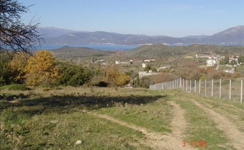 Terrains à bâtir à vendre à Agios, Eubée. Dans le nord de l’Eubée, dans le village d’Agios, à 6 km des thermes d’Edipsos, et à 3,5 km de la plage d’Agiokampos, avec vue panoramique sur la mer, le village d’Agios et les collines environnantes couverte...