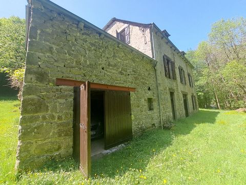 photo no. 20