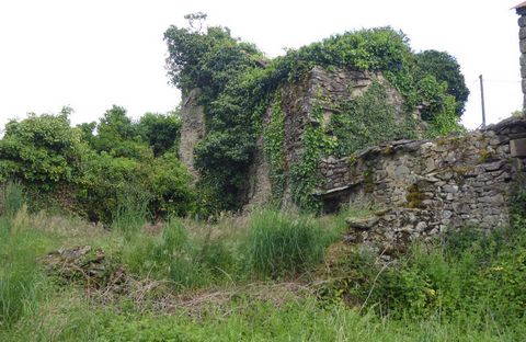 photo no. 1