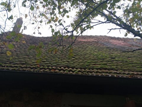photo no. 9