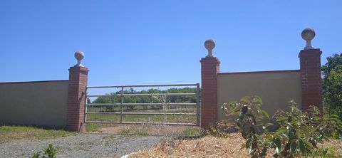 photo no. 31
