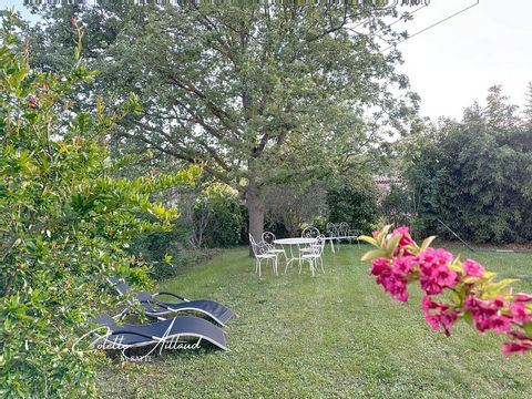 photo no. 12