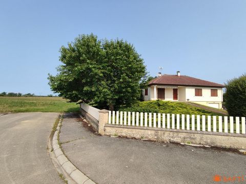 photo no. 6