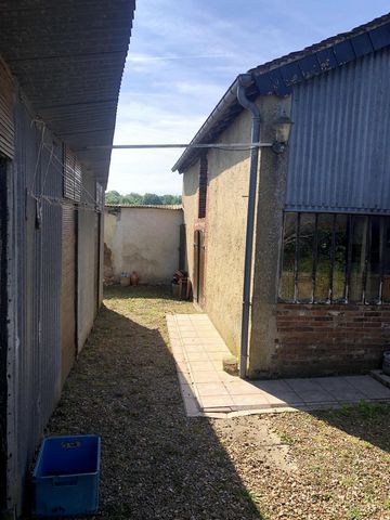 photo no. 9