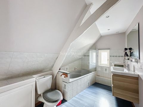 photo no. 8