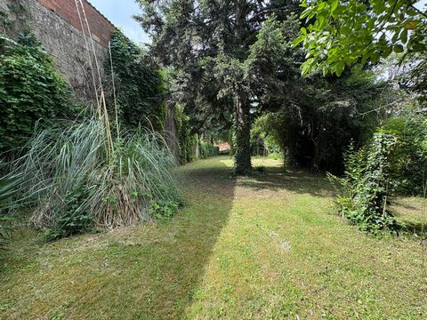 photo no. 11