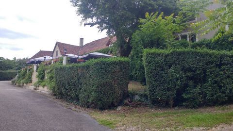 photo no. 17