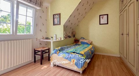 photo no. 8