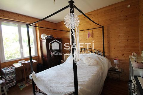 photo no. 10