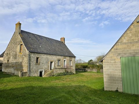 photo no. 6