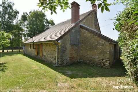 Charmante maison berrichonne avec grand terrain REIGNY (18)