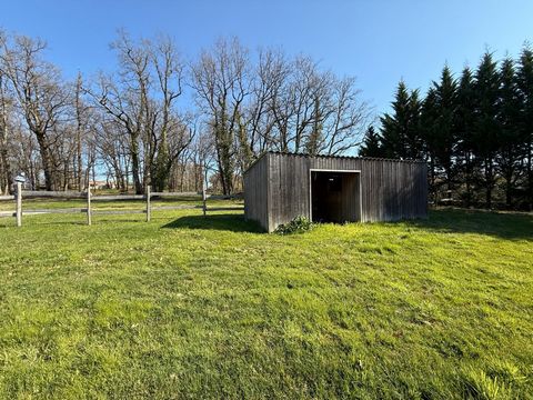 photo no. 16